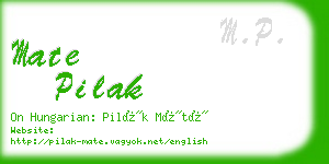mate pilak business card